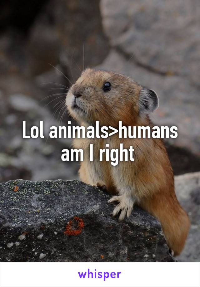 Lol animals>humans am I right 