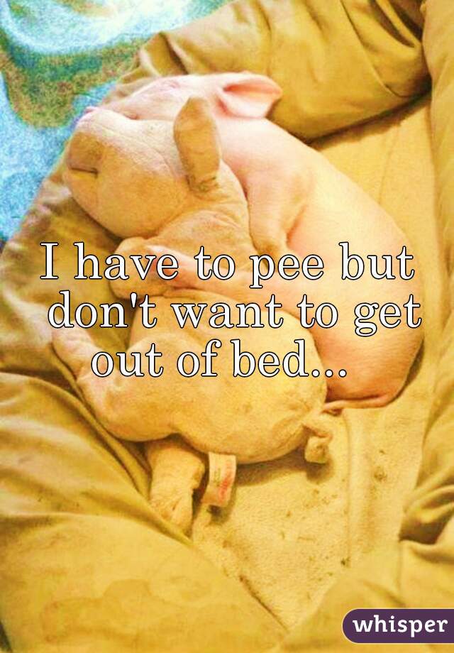 I have to pee but don't want to get out of bed...  