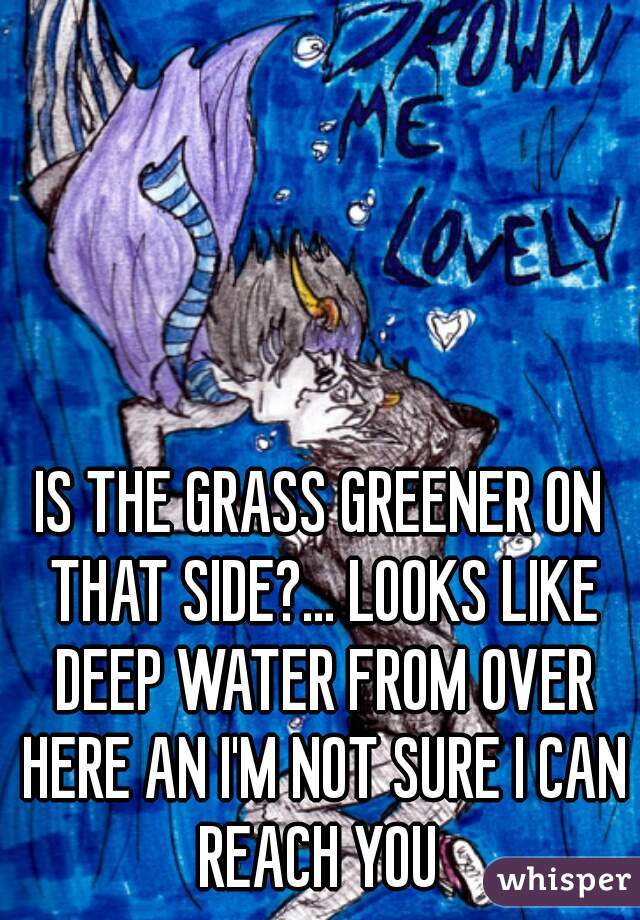 IS THE GRASS GREENER ON THAT SIDE?... LOOKS LIKE DEEP WATER FROM OVER HERE AN I'M NOT SURE I CAN REACH YOU 