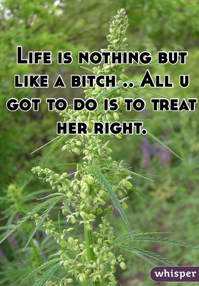 Life is nothing but like a bitch .. All u got to do is to treat her right.