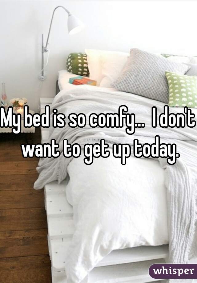 My bed is so comfy...  I don't want to get up today.