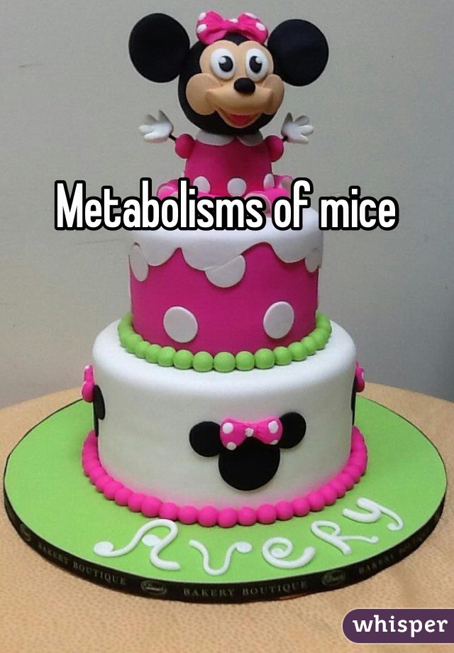 Metabolisms of mice 