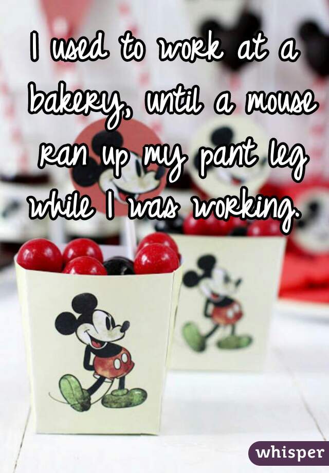 I used to work at a bakery, until a mouse ran up my pant leg while I was working. 