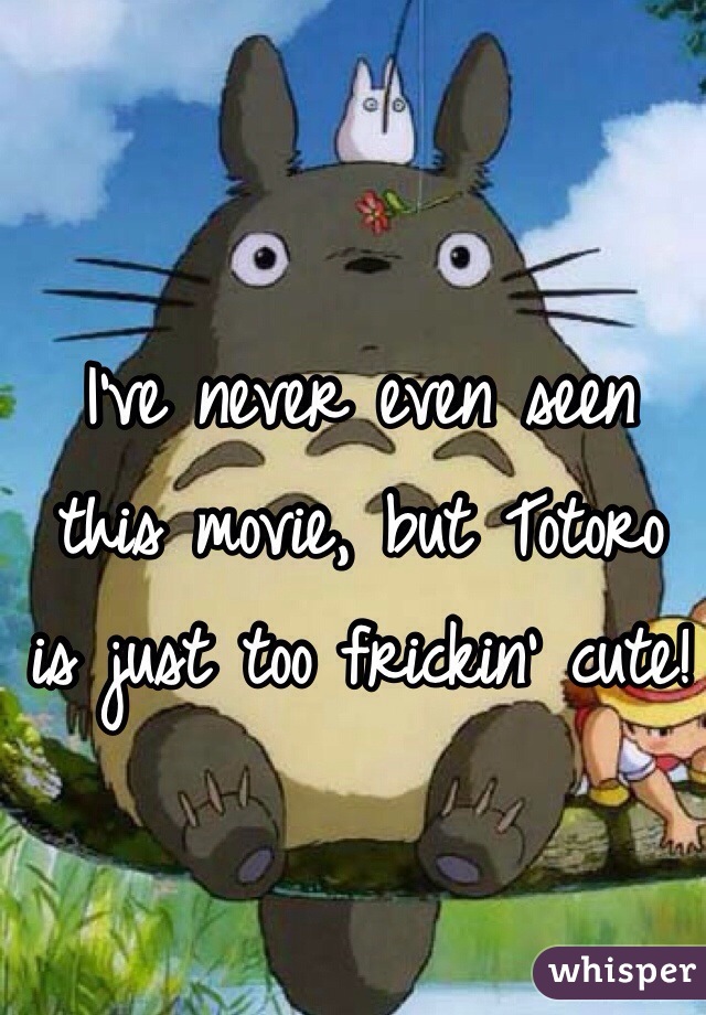 I've never even seen this movie, but Totoro is just too frickin' cute!