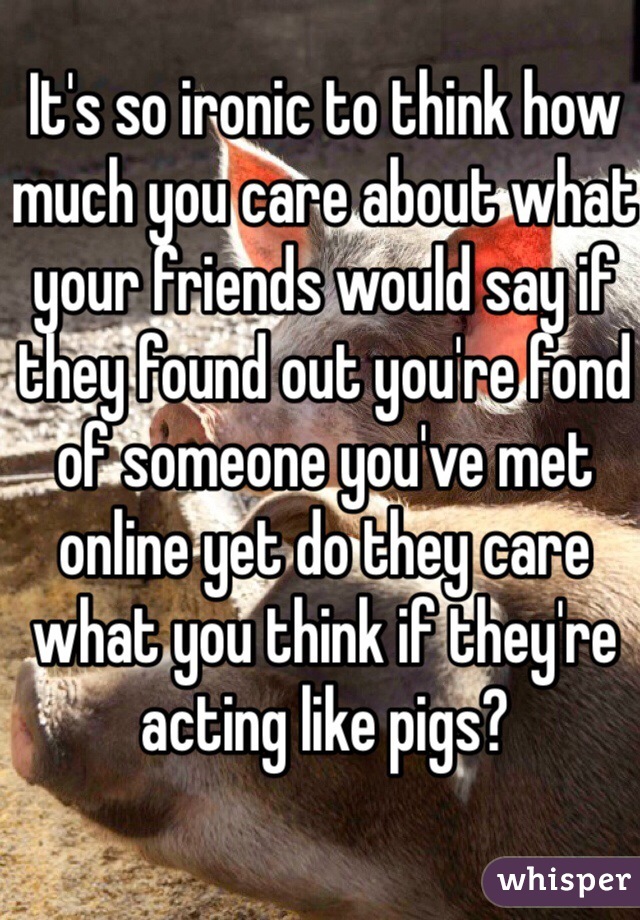 It's so ironic to think how much you care about what your friends would say if they found out you're fond of someone you've met online yet do they care what you think if they're acting like pigs?