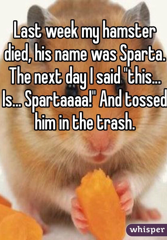 Last week my hamster died, his name was Sparta. The next day I said "this... Is... Spartaaaa!" And tossed him in the trash.