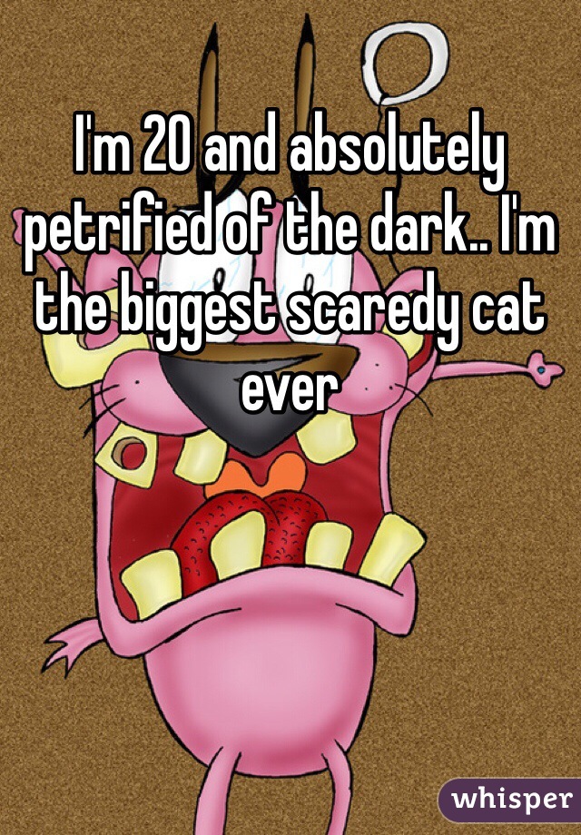 I'm 20 and absolutely petrified of the dark.. I'm the biggest scaredy cat ever 