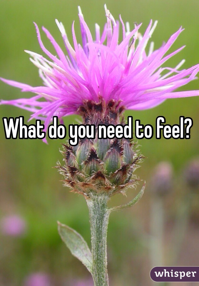 What do you need to feel?