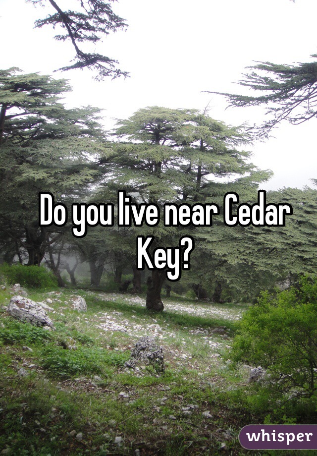 Do you live near Cedar Key?