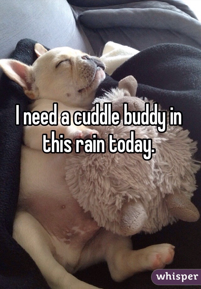 I need a cuddle buddy in this rain today. 