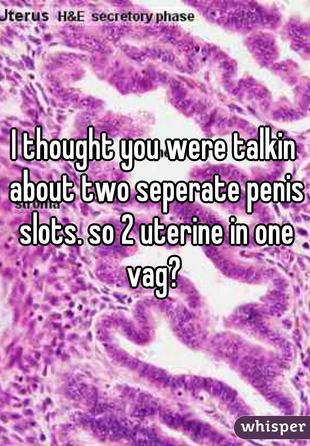 I thought you were talkin about two seperate penis slots. so 2 uterine in one vag? 