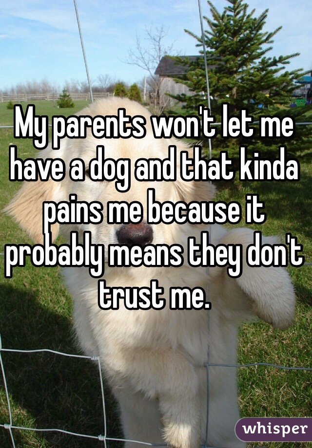 My parents won't let me have a dog and that kinda pains me because it probably means they don't trust me. 