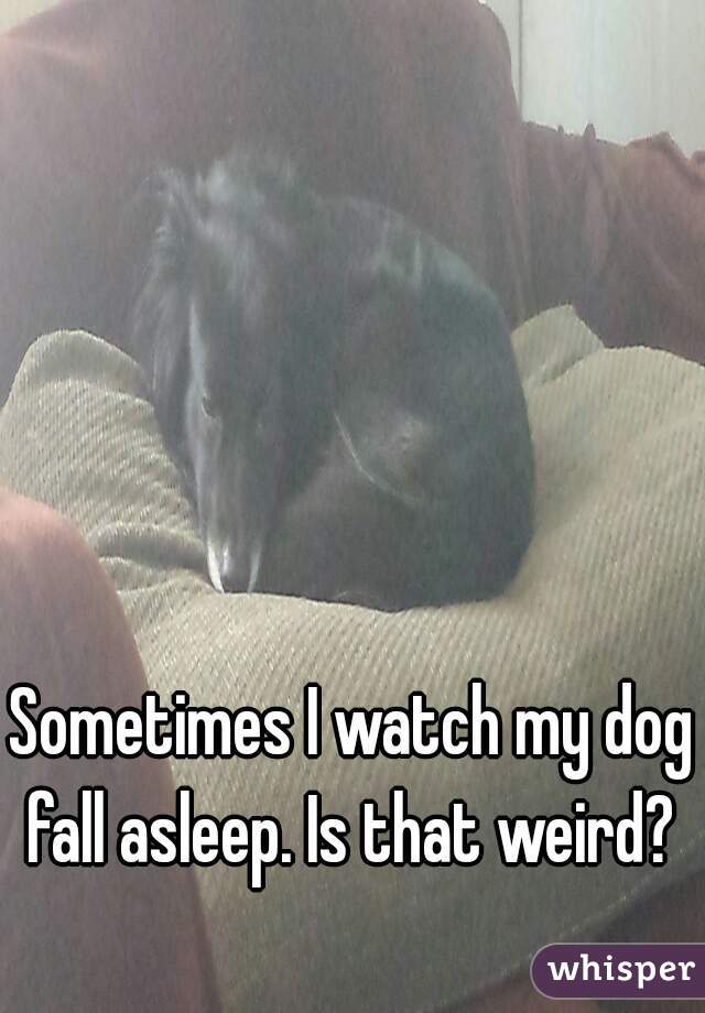 Sometimes I watch my dog fall asleep. Is that weird? 