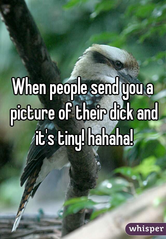When people send you a picture of their dick and it's tiny! hahaha!