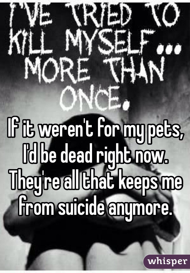 If it weren't for my pets, I'd be dead right now. They're all that keeps me from suicide anymore. 