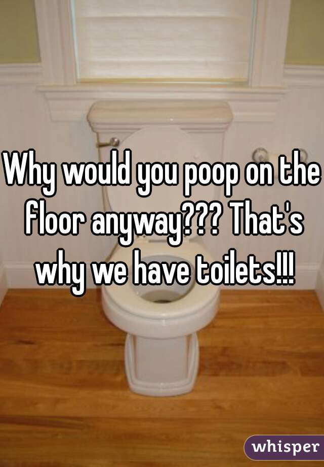 Why would you poop on the floor anyway??? That's why we have toilets!!!