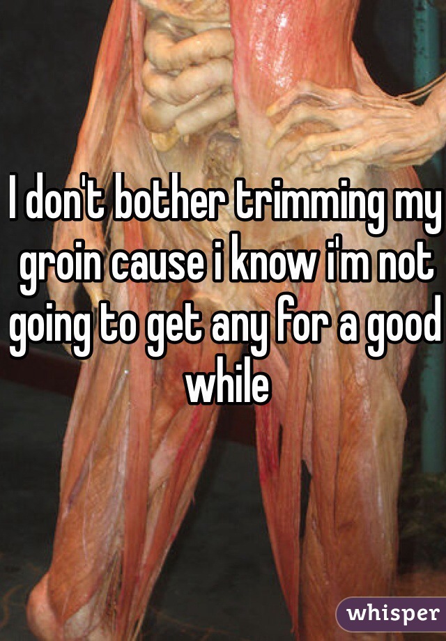I don't bother trimming my groin cause i know i'm not going to get any for a good while