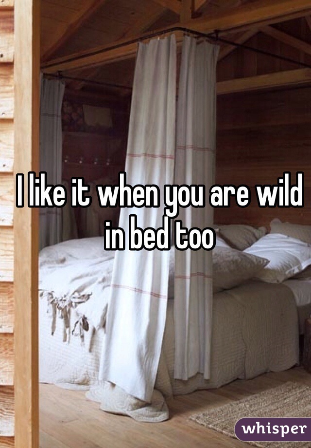 I like it when you are wild in bed too 