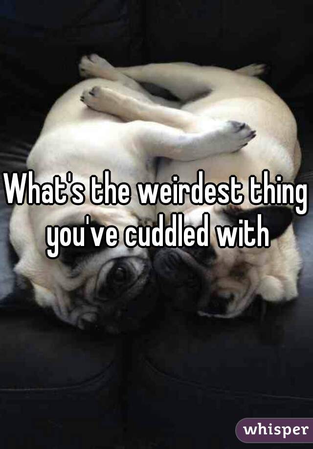 What's the weirdest thing you've cuddled with