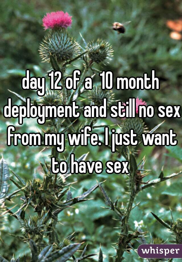 day 12 of a  10 month deployment and still no sex from my wife. I just want to have sex 