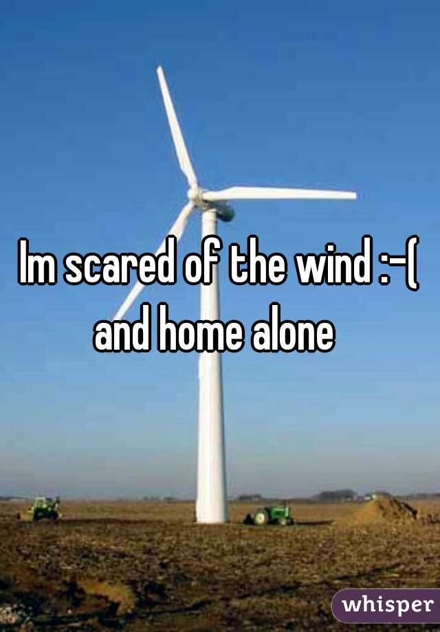 Im scared of the wind :-( and home alone  