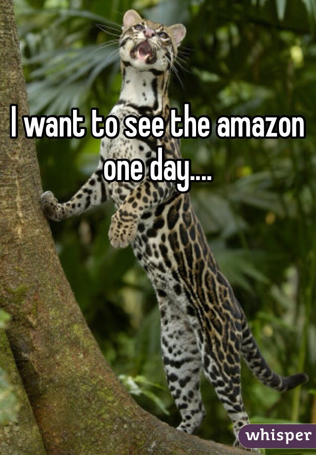 I want to see the amazon one day....