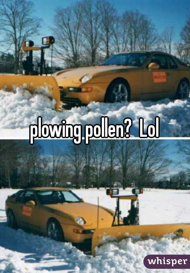 plowing pollen?  Lol