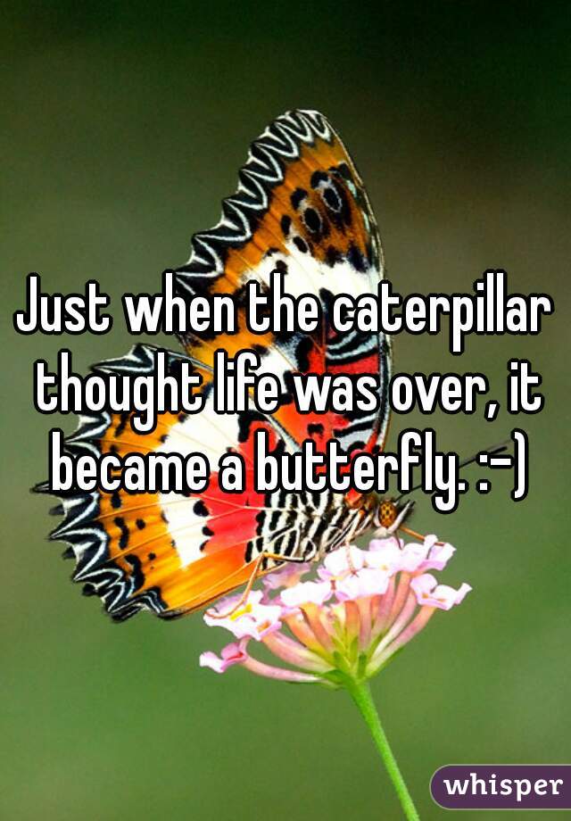 Just when the caterpillar thought life was over, it became a butterfly. :-)