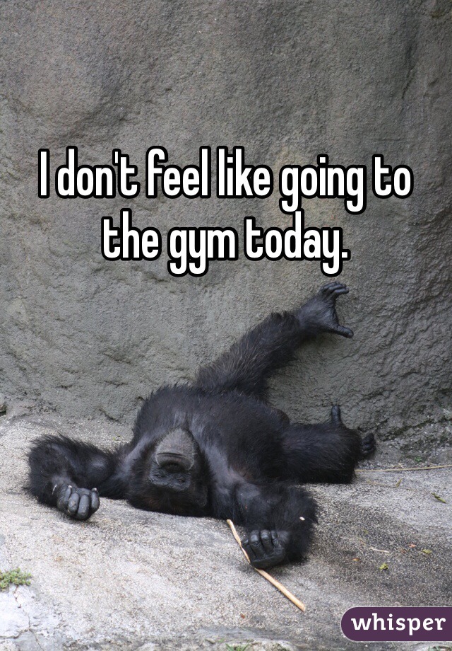 I don't feel like going to the gym today. 