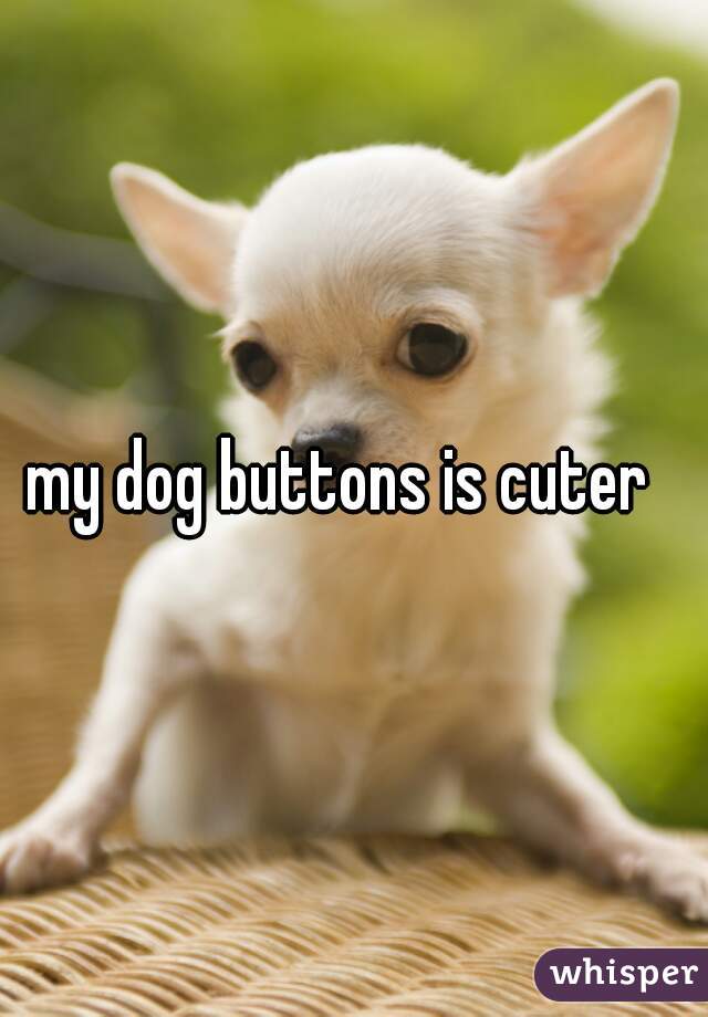 my dog buttons is cuter  