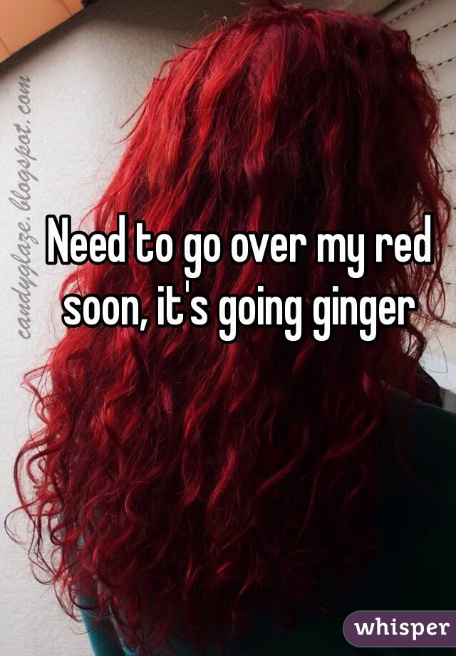 Need to go over my red soon, it's going ginger 