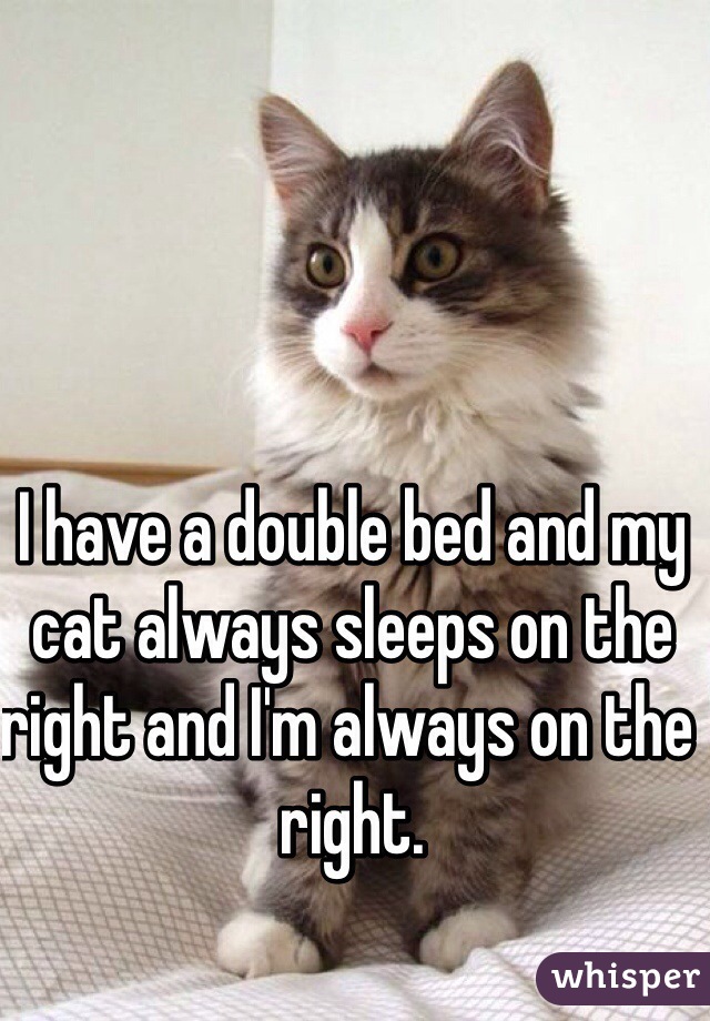 I have a double bed and my cat always sleeps on the right and I'm always on the right.