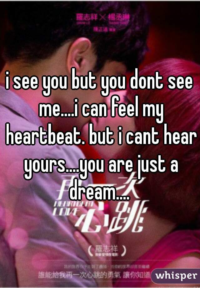 i see you but you dont see me....i can feel my heartbeat. but i cant hear yours....you are just a dream.... 