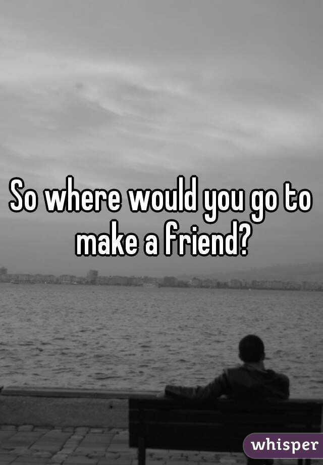 So where would you go to make a friend?