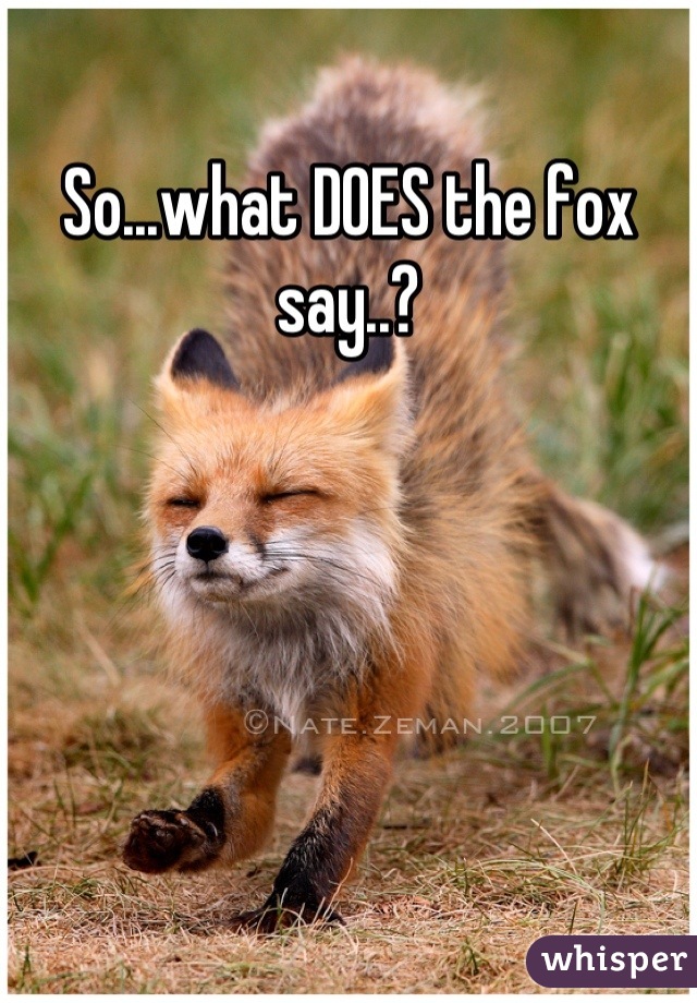 So...what DOES the fox say..?