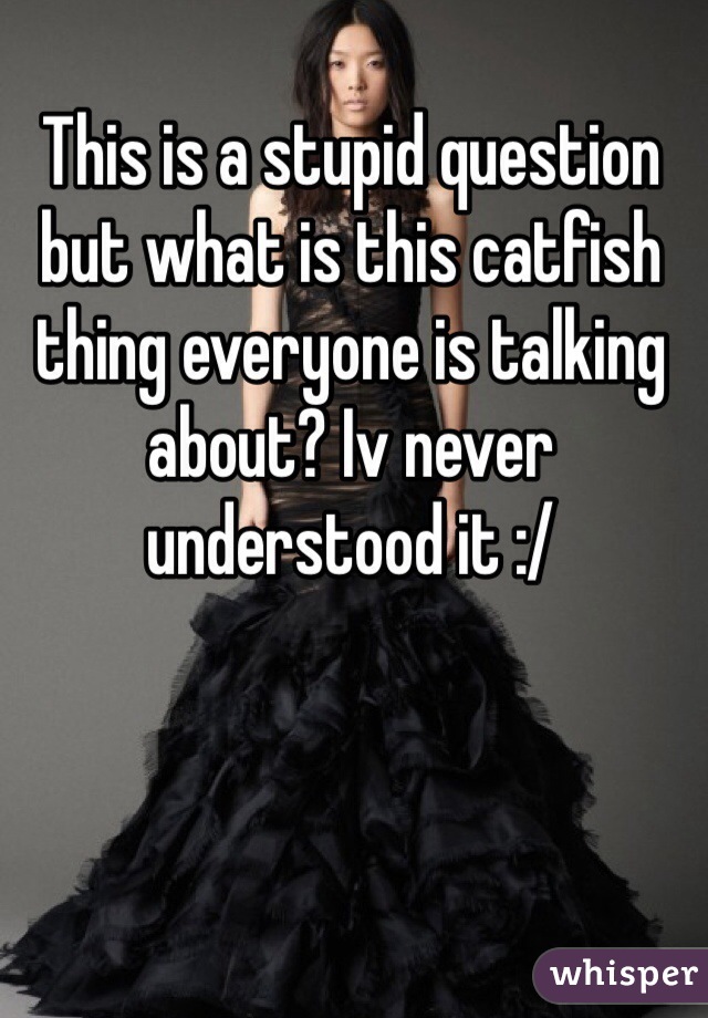 This is a stupid question but what is this catfish thing everyone is talking about? Iv never understood it :/ 