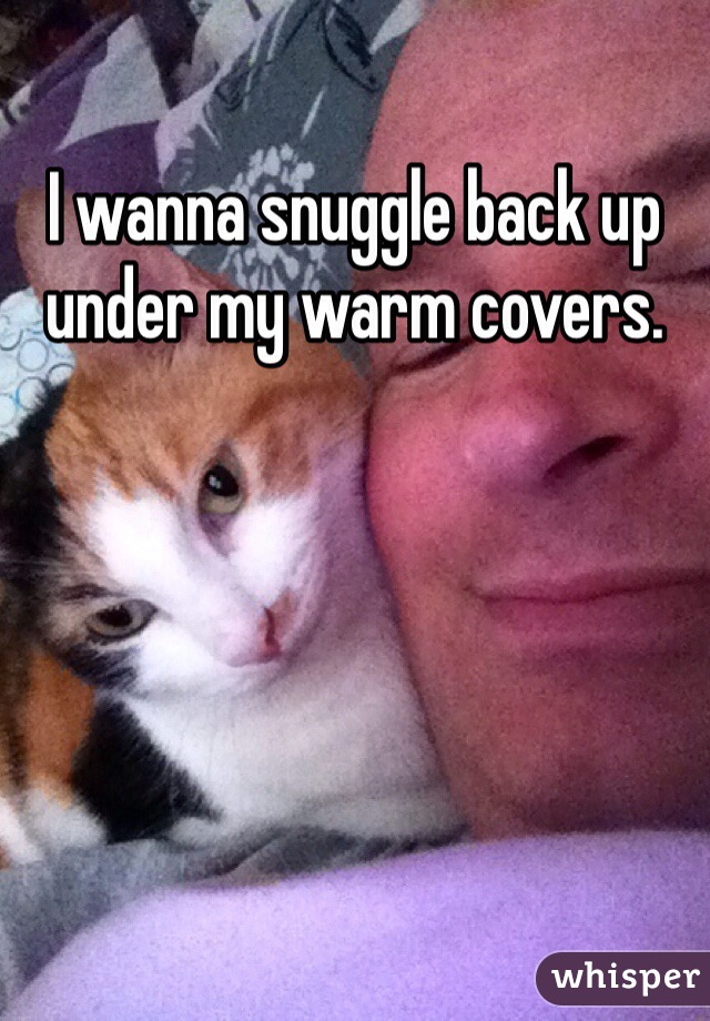 I wanna snuggle back up under my warm covers. 