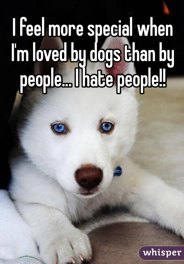 I feel more special when I'm loved by dogs than by people... I hate people!!