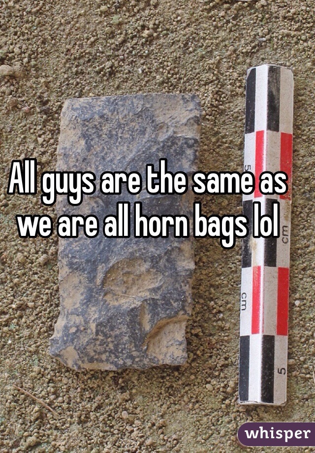 All guys are the same as we are all horn bags lol
