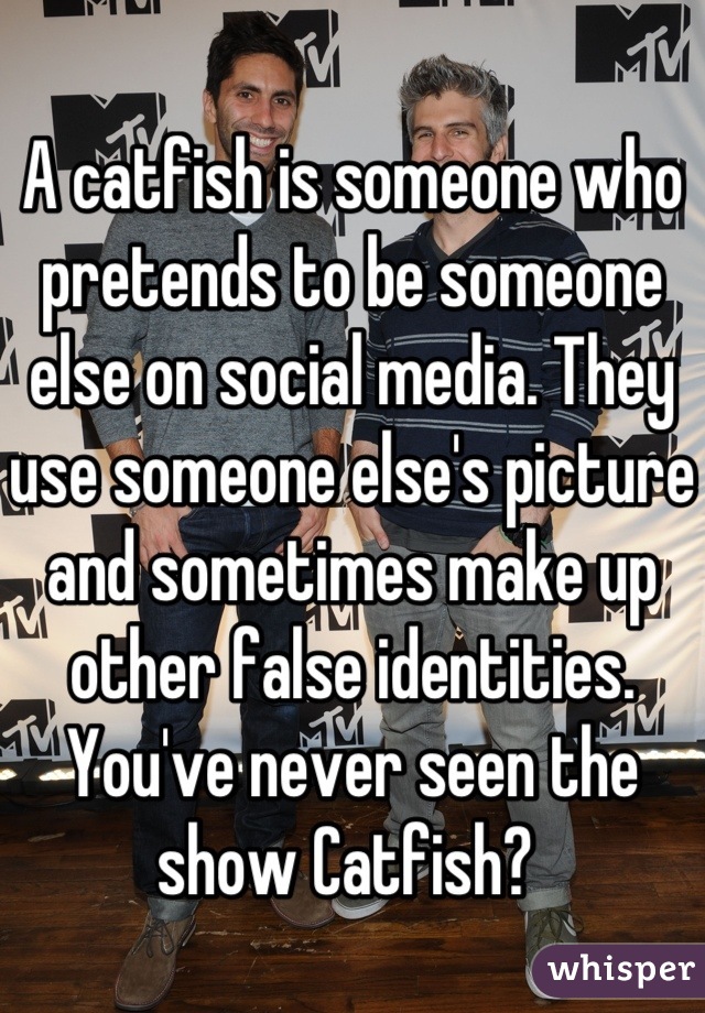 A catfish is someone who pretends to be someone else on social media. They use someone else's picture and sometimes make up other false identities.  You've never seen the show Catfish? 