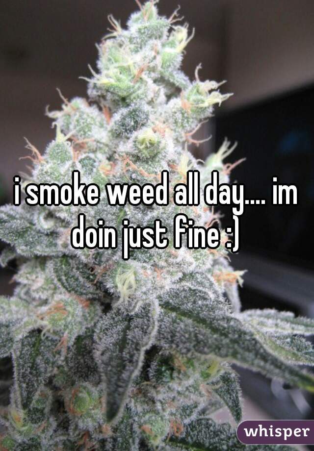 i smoke weed all day.... im doin just fine :) 