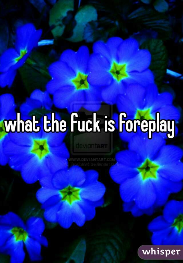 what the fuck is foreplay 