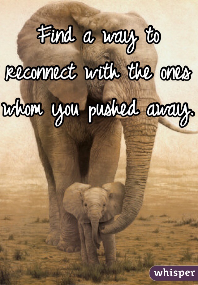 Find a way to reconnect with the ones whom you pushed away.
