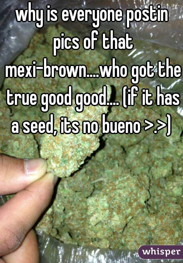 why is everyone postin pics of that mexi-brown....who got the true good good.... (if it has a seed, its no bueno >.>) 