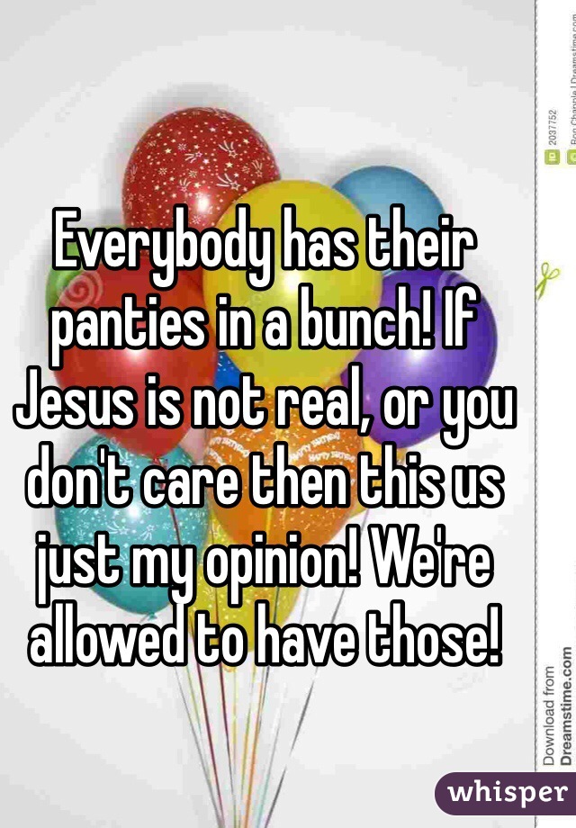 Everybody has their panties in a bunch! If Jesus is not real, or you don't care then this us just my opinion! We're allowed to have those! 