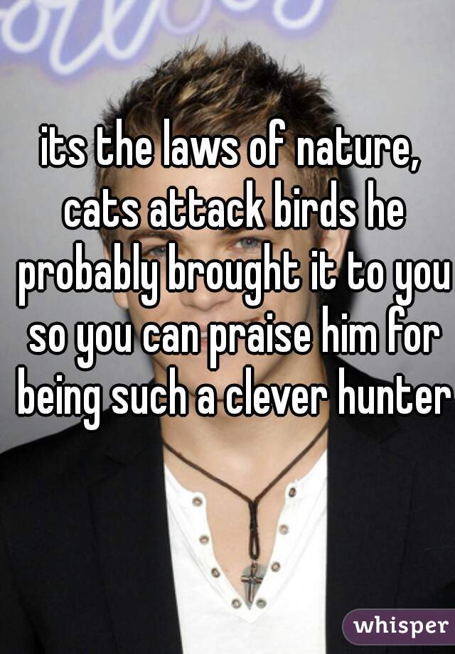 its the laws of nature, cats attack birds he probably brought it to you so you can praise him for being such a clever hunter