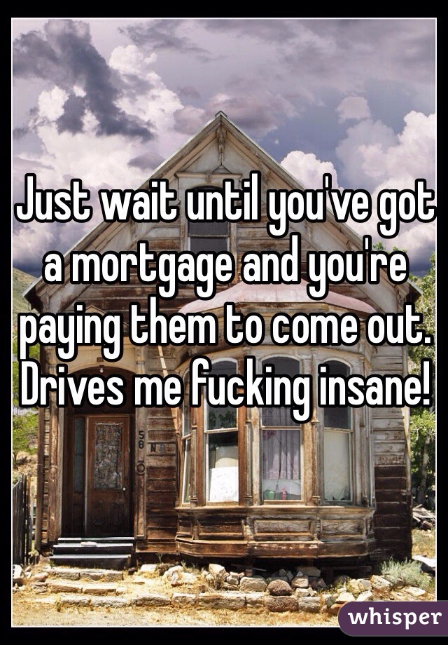 Just wait until you've got a mortgage and you're paying them to come out. Drives me fucking insane! 