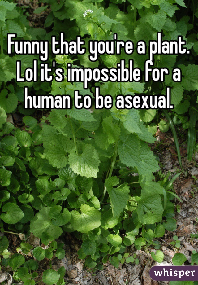 Funny that you're a plant. Lol it's impossible for a human to be asexual.