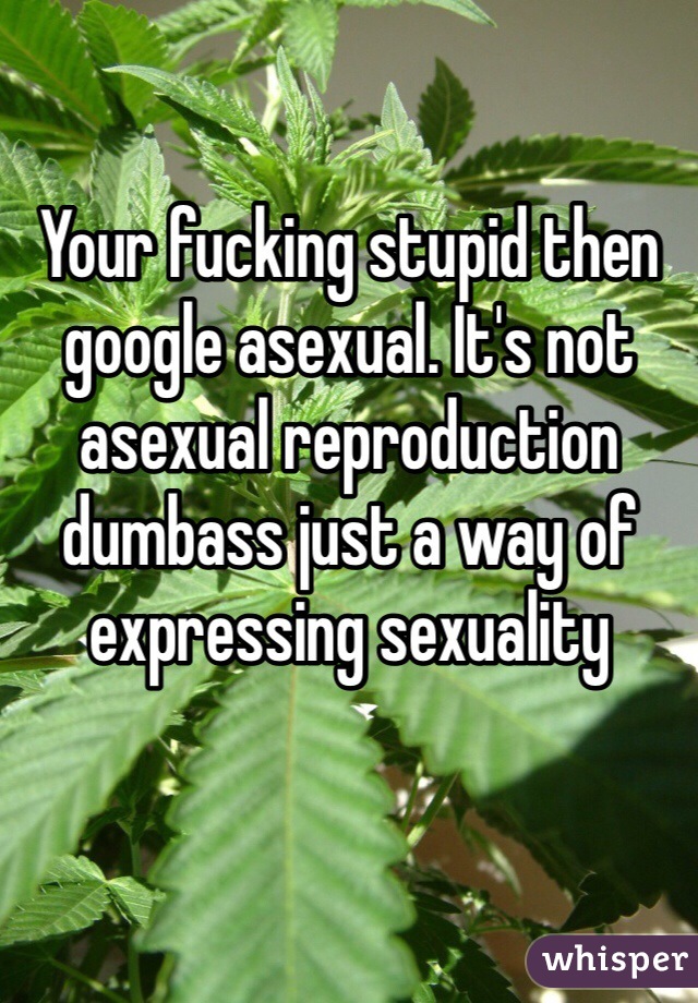 Your fucking stupid then google asexual. It's not asexual reproduction dumbass just a way of expressing sexuality