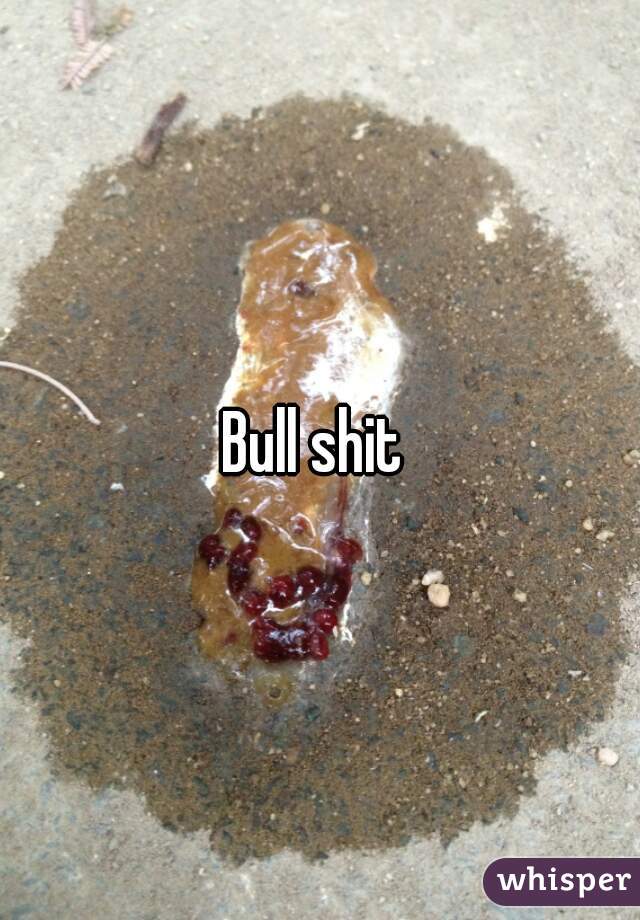 Bull shit 
